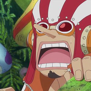 Bilder One Piece