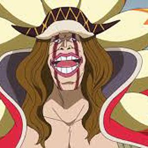 Bilder One Piece