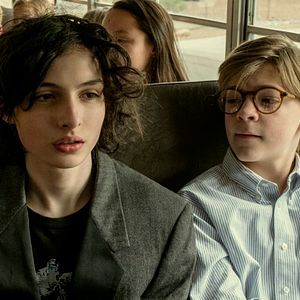 Bilder Der Distelfink