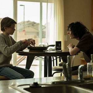 Bilder Der Distelfink