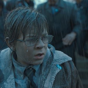 Bilder Der Distelfink