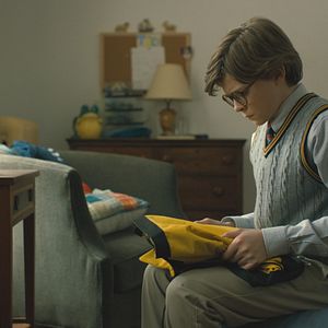 Bilder Der Distelfink