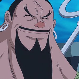 Bilder One Piece