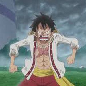 Bilder One Piece