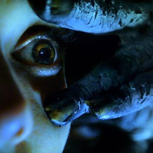 Bilder Echoes of Fear