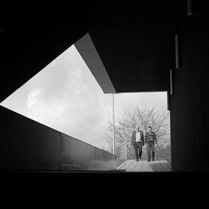 Bilder Die Sinfonie der Ungewissheit