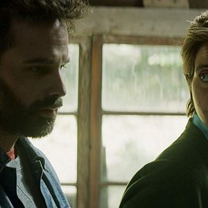 Bilder And The Birds Rained Down