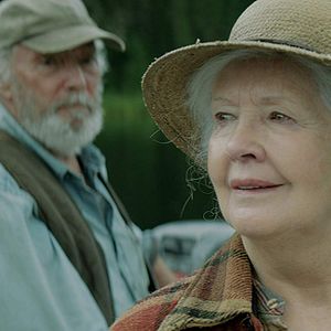 Bilder And The Birds Rained Down