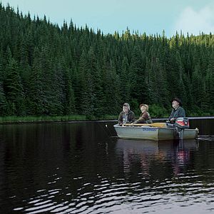 Bilder And The Birds Rained Down