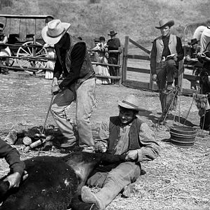 Bilder Feuerkopf von Wyoming