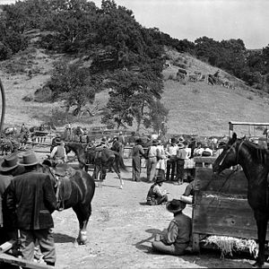 Bilder Feuerkopf von Wyoming