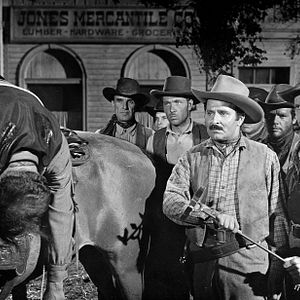 Bilder Feuerkopf von Wyoming