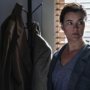 Bilder Cote De Pablo