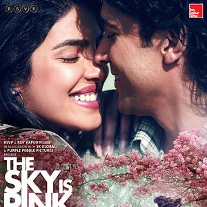 Bilder The Sky Is Pink