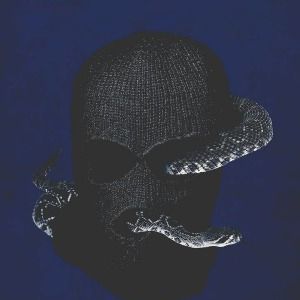 Bilder Der Biss der Klapperschlange