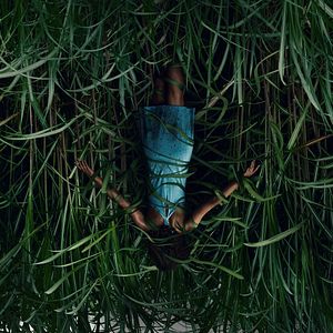 Bilder Im hohen Gras