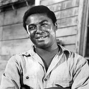 Bilder D'Urville Martin