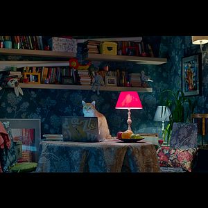 Bilder Mein Freund, der Kobold