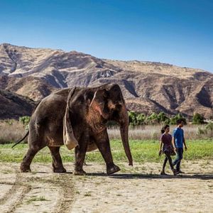 Bilder Rettet Flora - Die Reise ihres Lebens