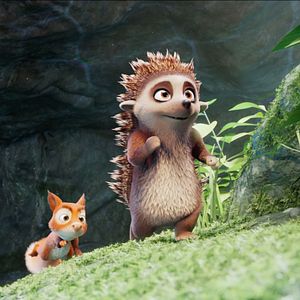 Bilder Latte Igel und der magische Wasserstein