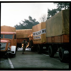 Bilder Plauener Spitzen