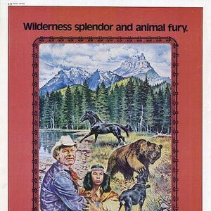 Bilder Mustang, Bär und Jäger