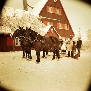 Bilder Ninotschka sucht den Frühling