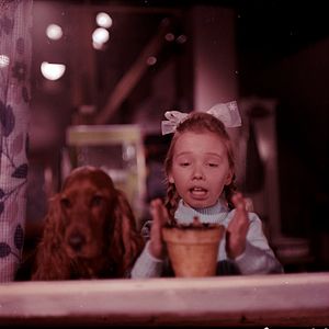 Bilder Ninotschka sucht den Frühling