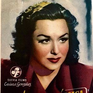 Bilder Audiencia pública