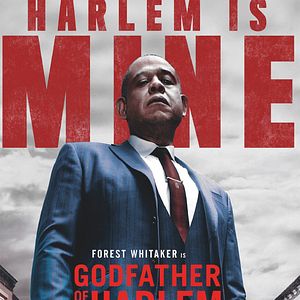 Bilder Godfather Of Harlem