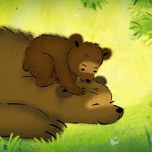 Bilder Premiers pas dans la forêt