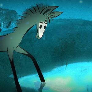 Bilder Premiers pas dans la forêt