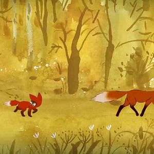 Bilder Premiers pas dans la forêt