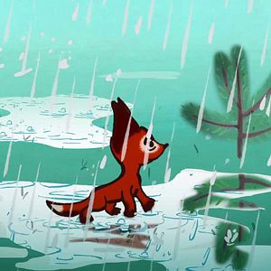 Bilder Premiers pas dans la forêt