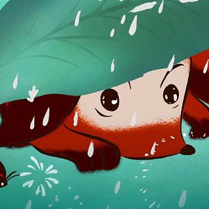 Bilder Premiers pas dans la forêt