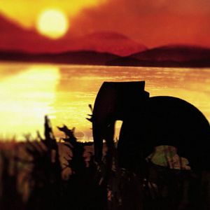 Bilder Premiers pas dans la forêt