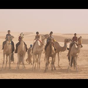 Bilder L'Enfant chameau