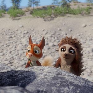 Bilder Latte Igel und der magische Wasserstein