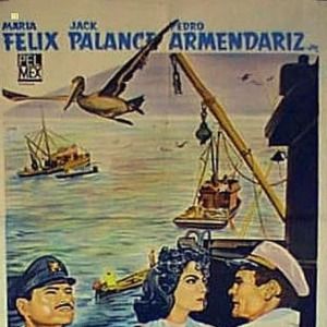 Bilder Aufruhr der Gefühle