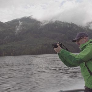 Bilder Das geheime Leben der Bäume