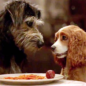 Bilder Susi und Strolch