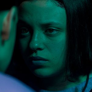 Bilder Growl - Er riecht deine Angst