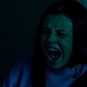 Bilder Growl - Er riecht deine Angst