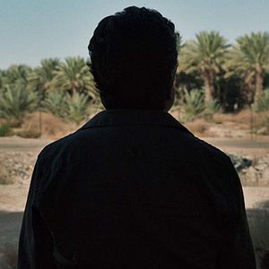 Bilder The Day After I'm Gone