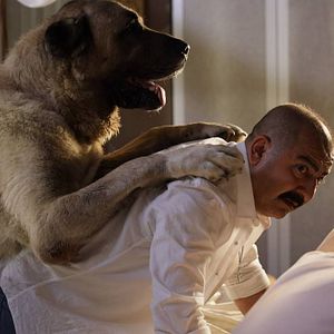 Bilder Aman Reis Duymasın