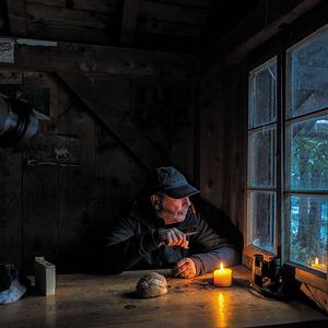 Bilder Wolf Walk - Auf der Spur der Wölfe