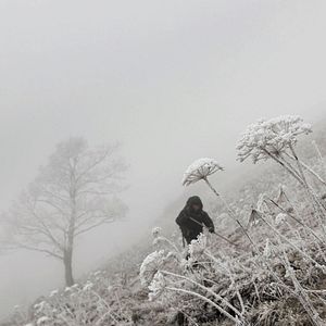 Bilder Wolf Walk - Auf der Spur der Wölfe