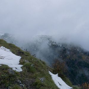 Bilder Wolf Walk - Auf der Spur der Wölfe