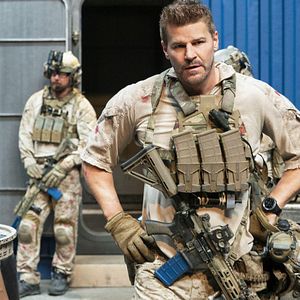 Bilder David Boreanaz