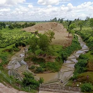 Bilder Bamboo Stories